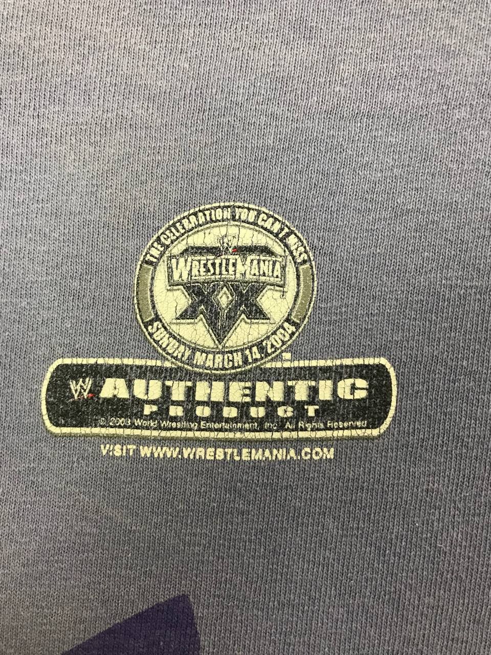 WWE Matt Hardy WWE WWF 2003 vintage wrestling tee Size US M / EU 48-50 / 2 - 7 Thumbnail