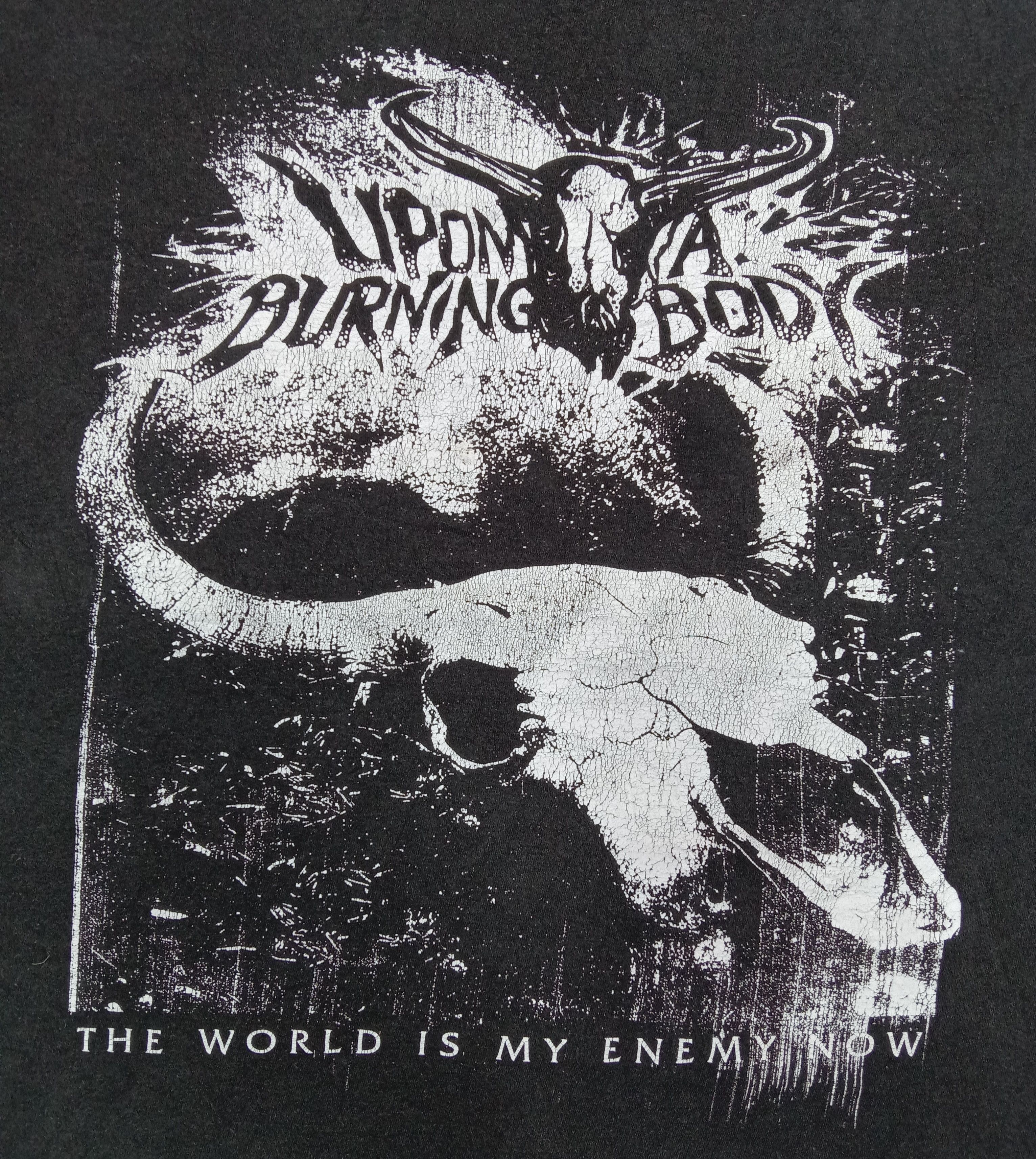Band Tees Vintage Upon a Burning Body "The World Is My Enemy Now" Tee Size US XL / EU 56 / 4 - 2 Thumbnail