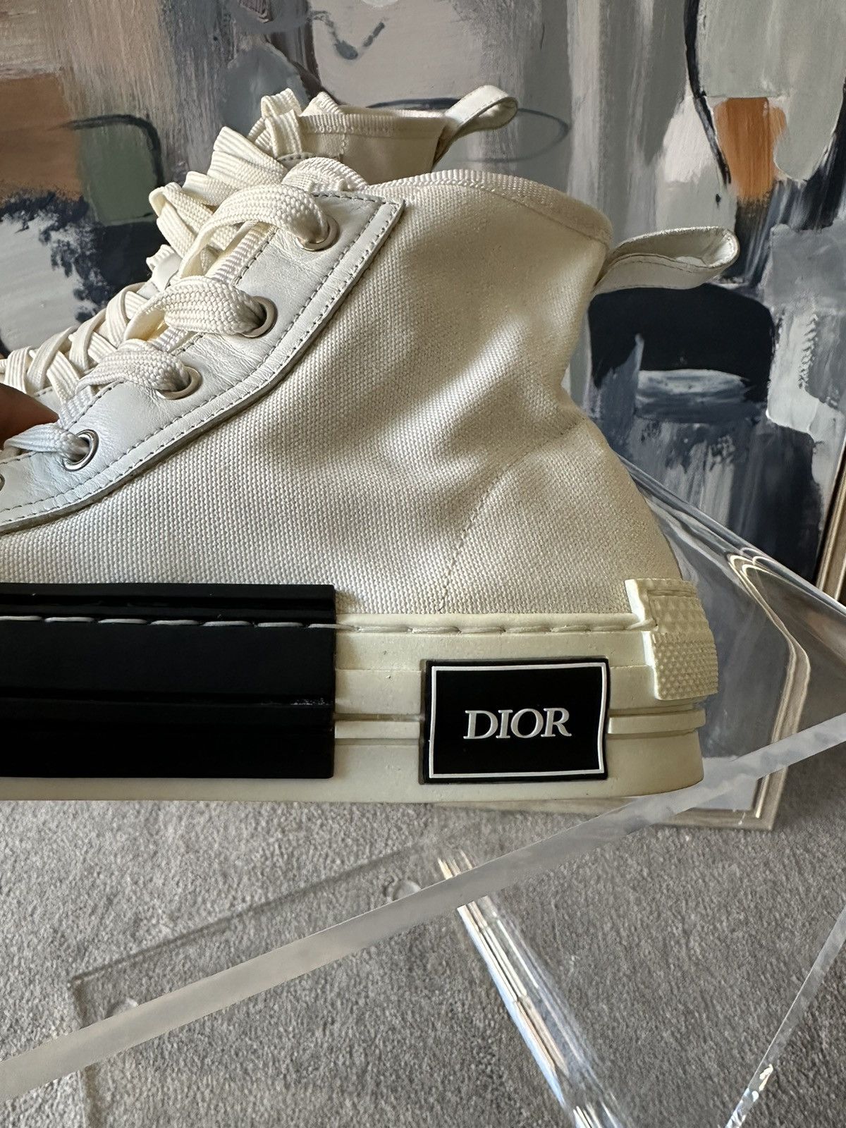 Dior B23 High Top Sneakers