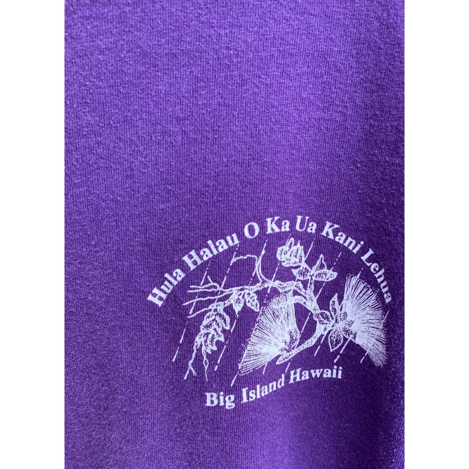 Jerzees VINTAGE Jerzees T-Shirt Men L Purple Hawaiian Graphic Print 1995 Johnny Lum Ho Hula Halau O Ka Ua Kani Lehua Hawaii Shirt Size US L / EU 52-54 / 3 - 4 Thumbnail