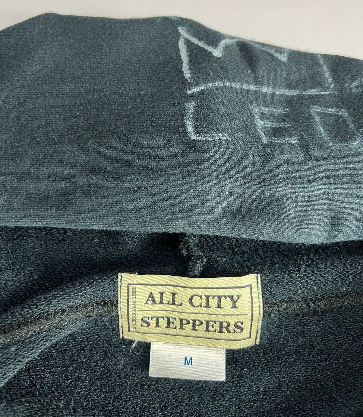 Band Tees × Japanese Brand ALL CITY STEPPERS SEXY VIRGIN RIOT ALBUM TOUR HOODIE Size US M / EU 48-50 / 2 - 8 Thumbnail