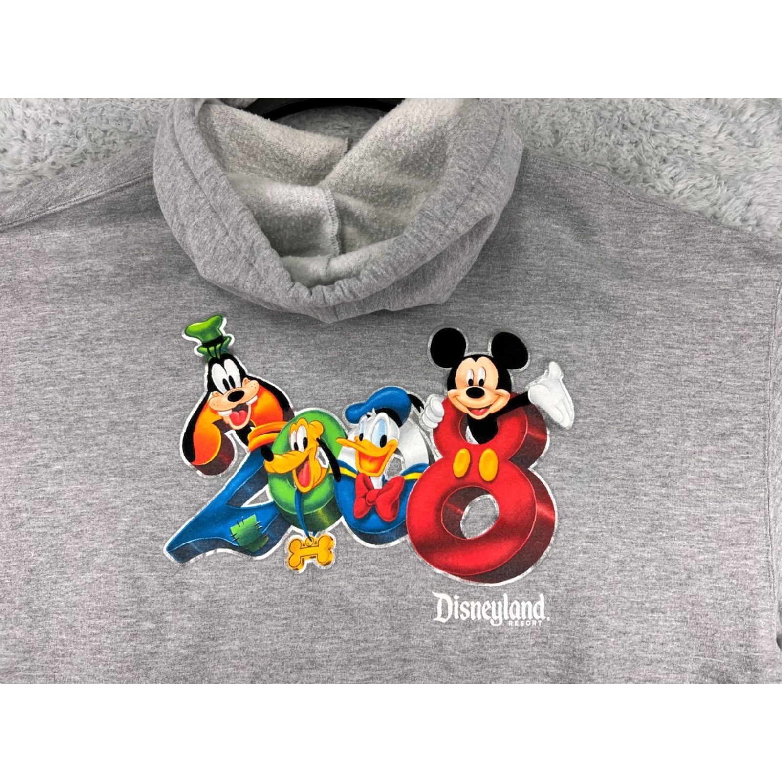 Disney Disney Hoodie Womens 2XL Gray Full Zip Pockets Mickey Donald Goofy Pluto Cartoon Logo Shirt History 2008 Resort Outdoors Mens Woman Girls Size XXL / US 16-18 / IT 52-54 - 6 Thumbnail