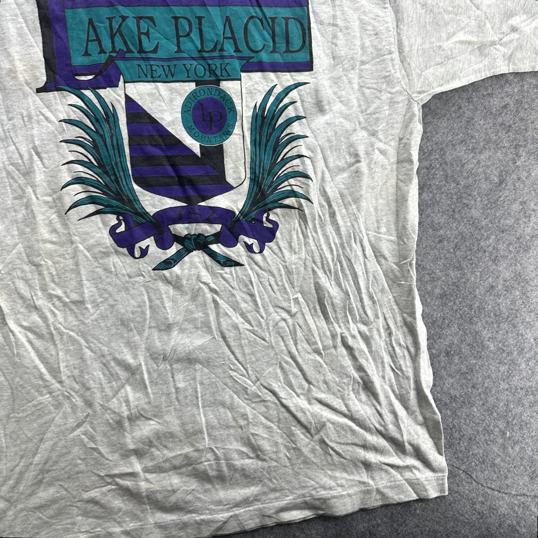 Fruit Of The Loom VINTAGE Lake Placid T-Shirt Men Large Gray Adirondack Mountains Crest 90s USA Travel Outdoor Cotton Size US L / EU 52-54 / 3 - 4 Thumbnail