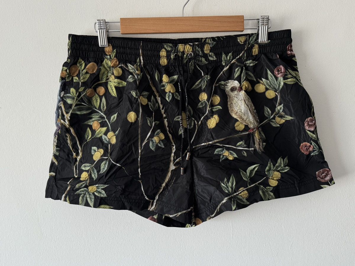 Dolce & Gabbana 🔥🔥 Dolce & Gabbana Birds Print Nylon Shorts Size US 34 / EU 50 - 1 Thumbnail