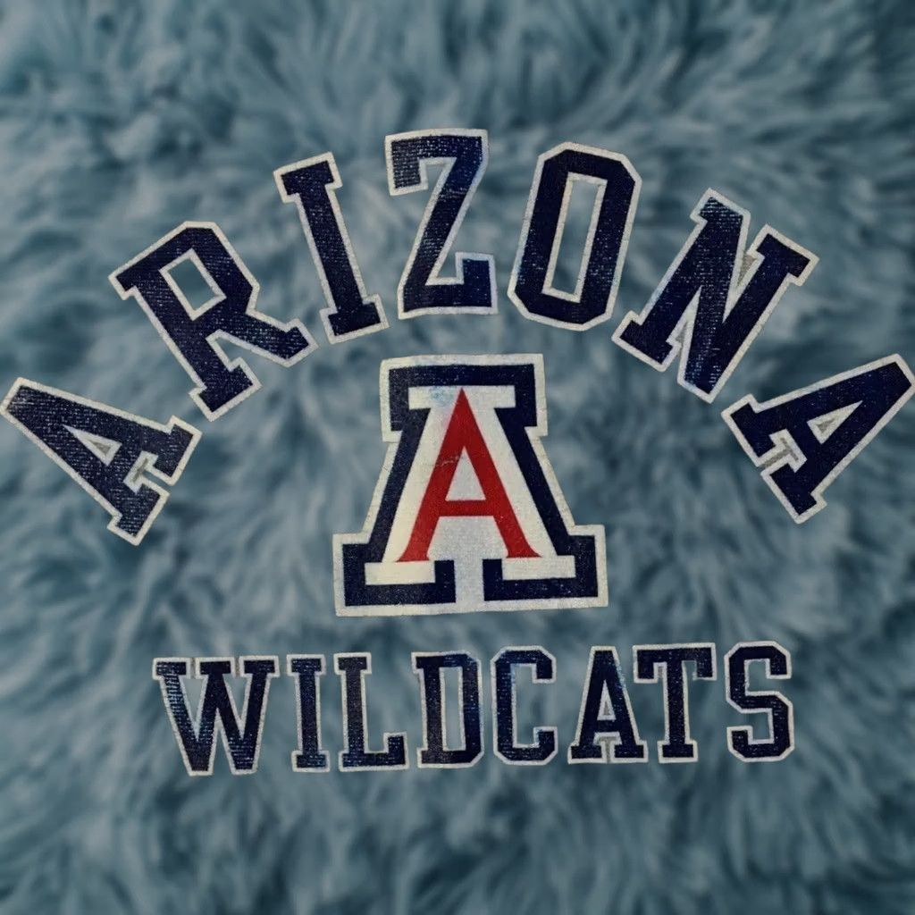 Champion VINTAGE Champion University Of Arizona Wildcats Faded Reverse Weave Sweatshirt M School Track Hoodie Gray Size US M / EU 48-50 / 2 - 1 Thumbnail