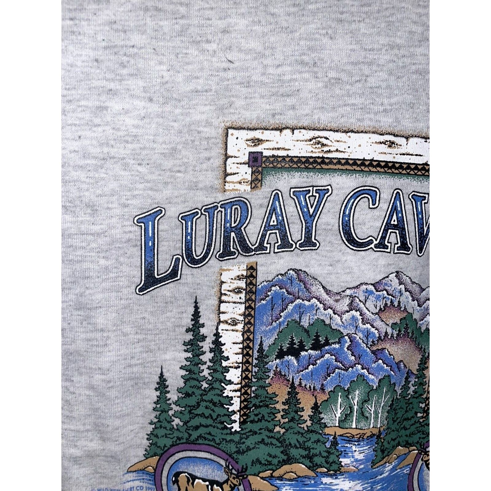 Signal Sport Vintage Luray Caverns Shirt Virginia Gray Nature Tee VTG 90s Size US S / EU 44-46 / 1 - 3 Thumbnail