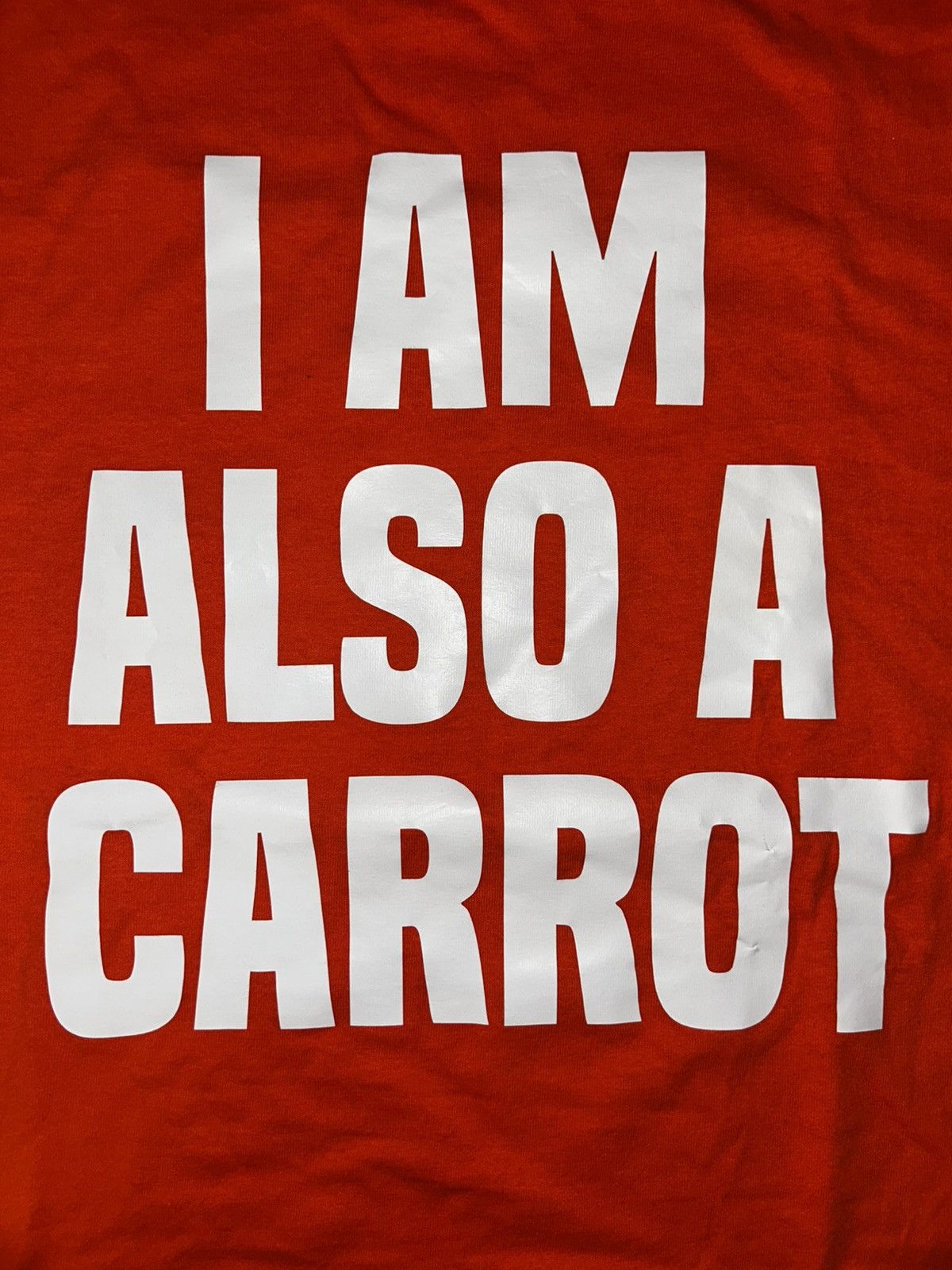 Gildan I am so a carrot Shirt Size US L / EU 52-54 / 3 - 3 Thumbnail
