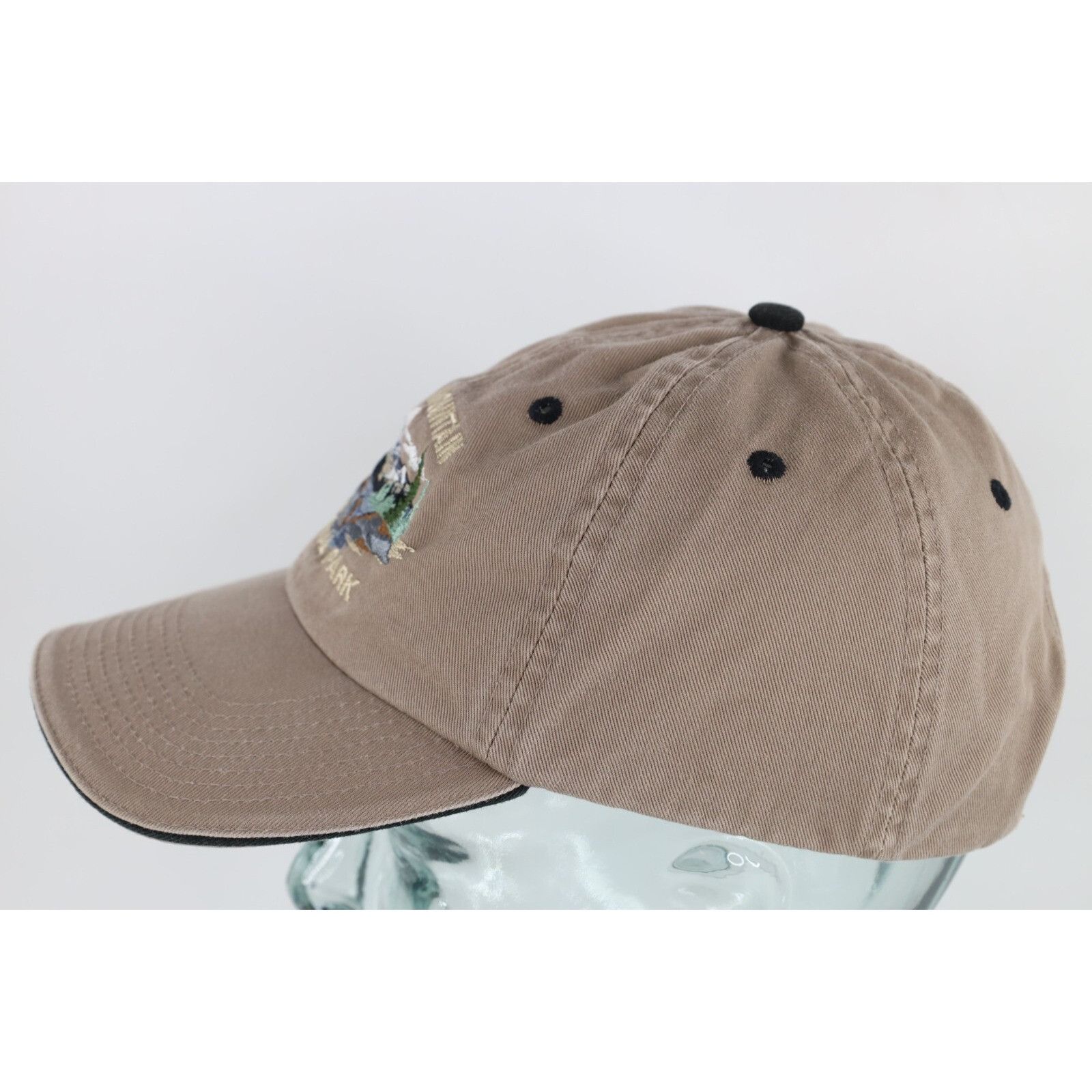 Vintage Vintage 90s Streetwear Rocky Mountain National Park Hat Size ONE SIZE - 4 Thumbnail