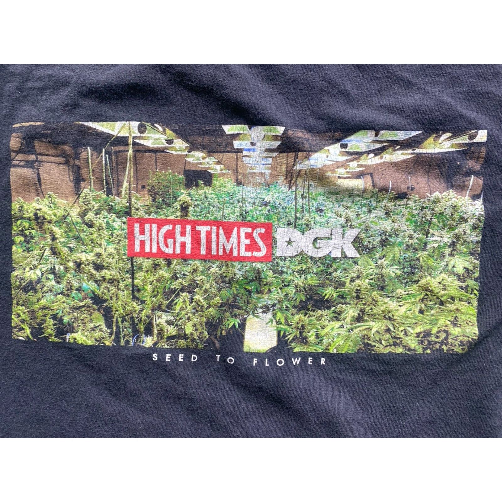 DGK DGK T Shirt Men’s XL High Times Seed To Flower Graphic Black Short Sleeve Men XL Black Graphic Seed To Flower High Times DGK Shirt Size US XL / EU 56 / 4 - 6 Thumbnail