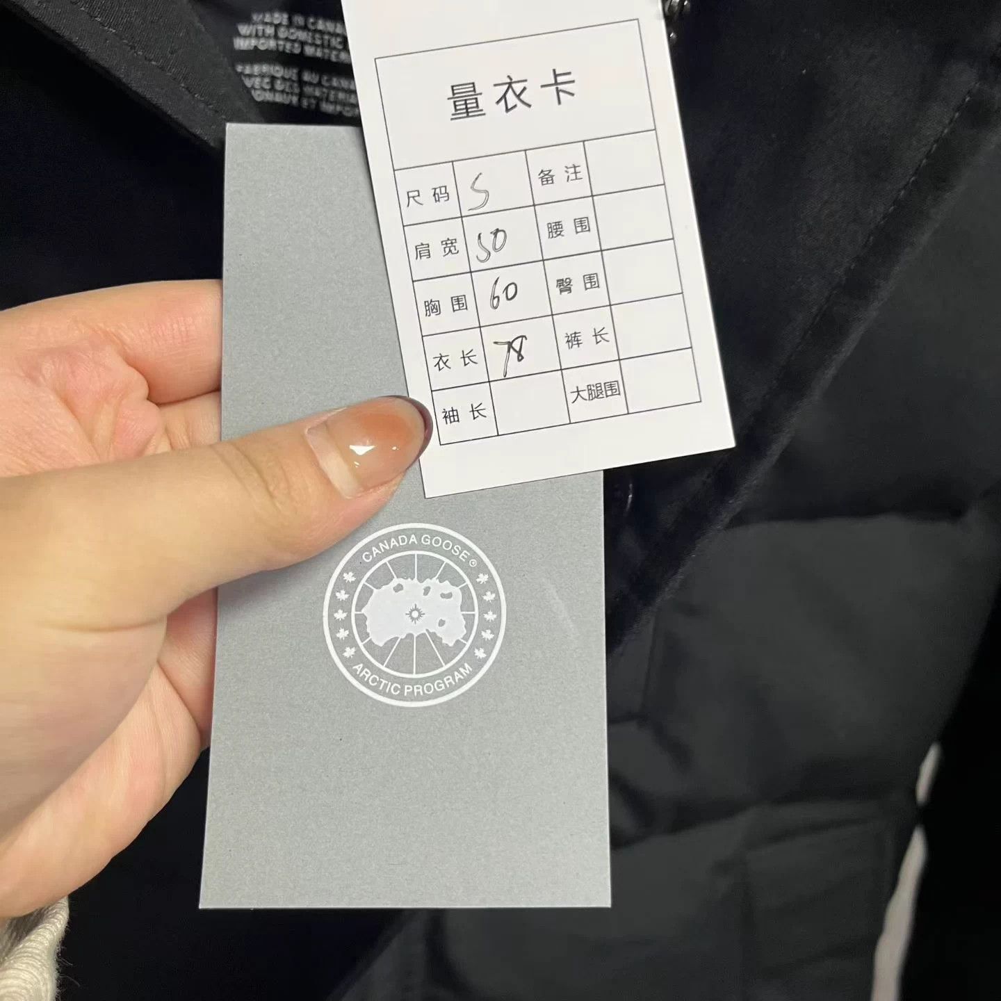 Canada Goose Canada Goose Red Label Solid Hooded Zipper Puffer S Size US S / EU 44-46 / 1 - 5 Thumbnail