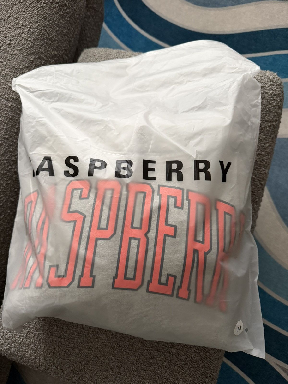 The GV Gallery The GV Gallery Raspberry Hills SF Hoodie Size US M / EU 48-50 / 2 - 7 Thumbnail