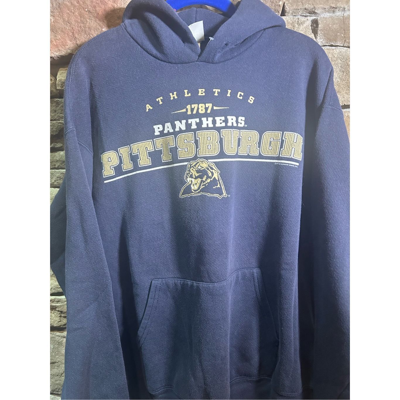 Lee Men’s M - Vintage Y2K Pittsburgh Panther Sweatshirt Crewneck Athletics Blue Lee Size US M / EU 48-50 / 2 - 2 Thumbnail