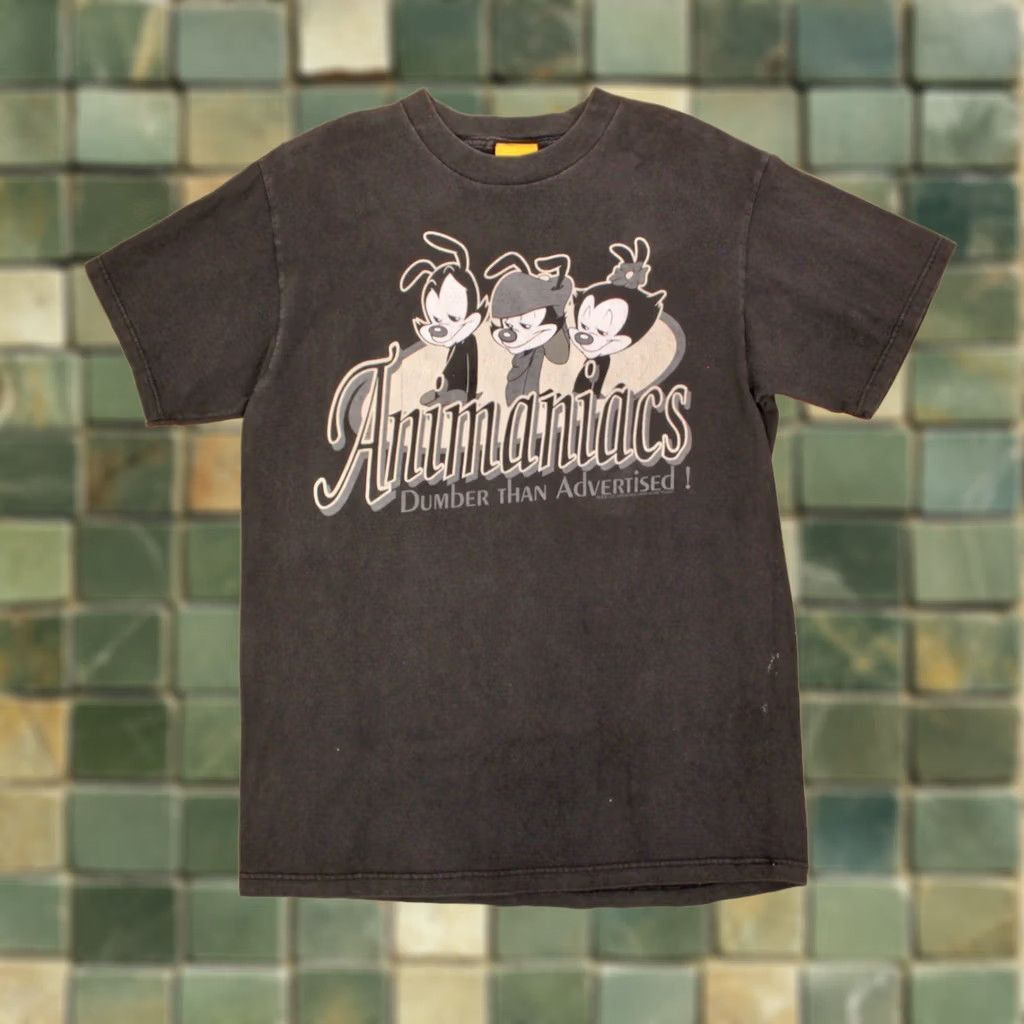 Vintage VTG Animaniacs 90s T Shirt L Grey Short Sleeve Mens Vintage 1990s Shirt Cartoon Dumber Than Advertised Size US L / EU 52-54 / 3 - 1 Thumbnail