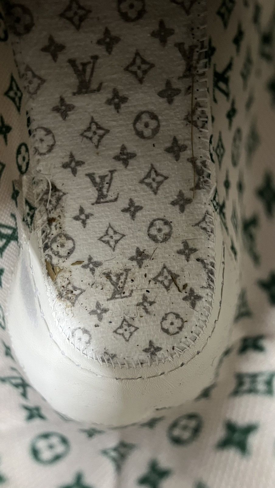 Louis Vuitton Louis Vuitton Green Skates Size US 10 / EU 43 - 16 Thumbnail