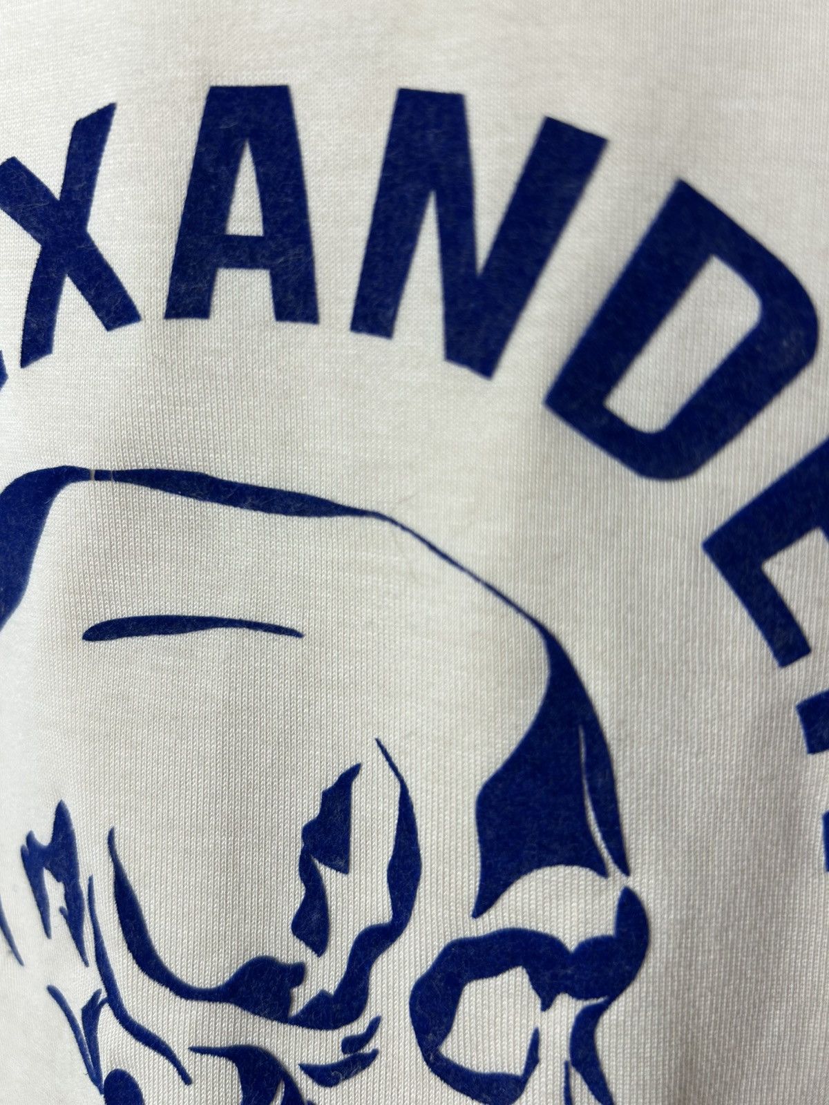 Alexander McQueen ALEXANDER MCQUEEN FLOCKED SKULL LOGO T-SHIRT Size US S / EU 44-46 / 1 - 5 Thumbnail