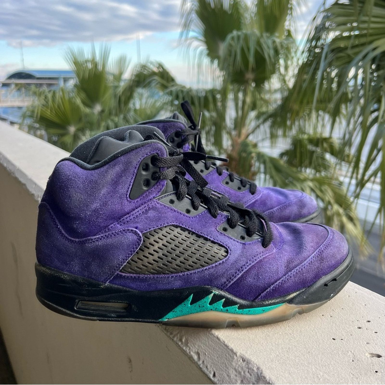 Jordan Retro Alternate Grape Sneakers 136027-500 Size