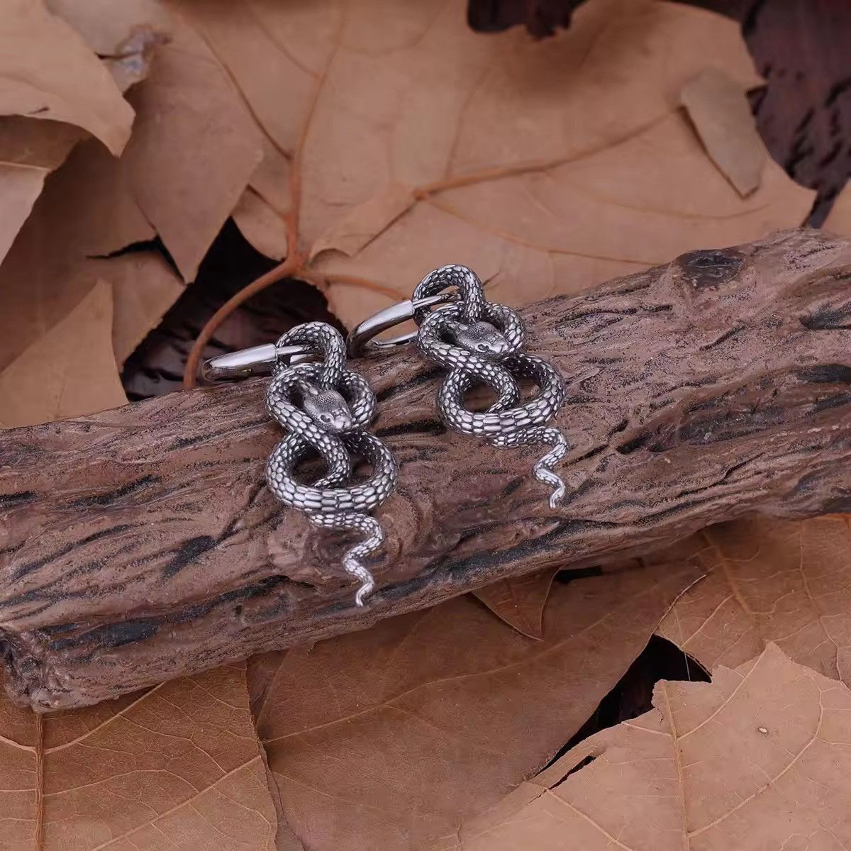 Jewelry Snake Earrings in Silver, Men's