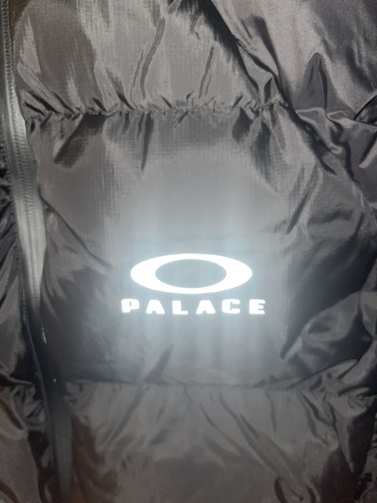 Oakley × Palace Oakley palace puffa | Grailed
