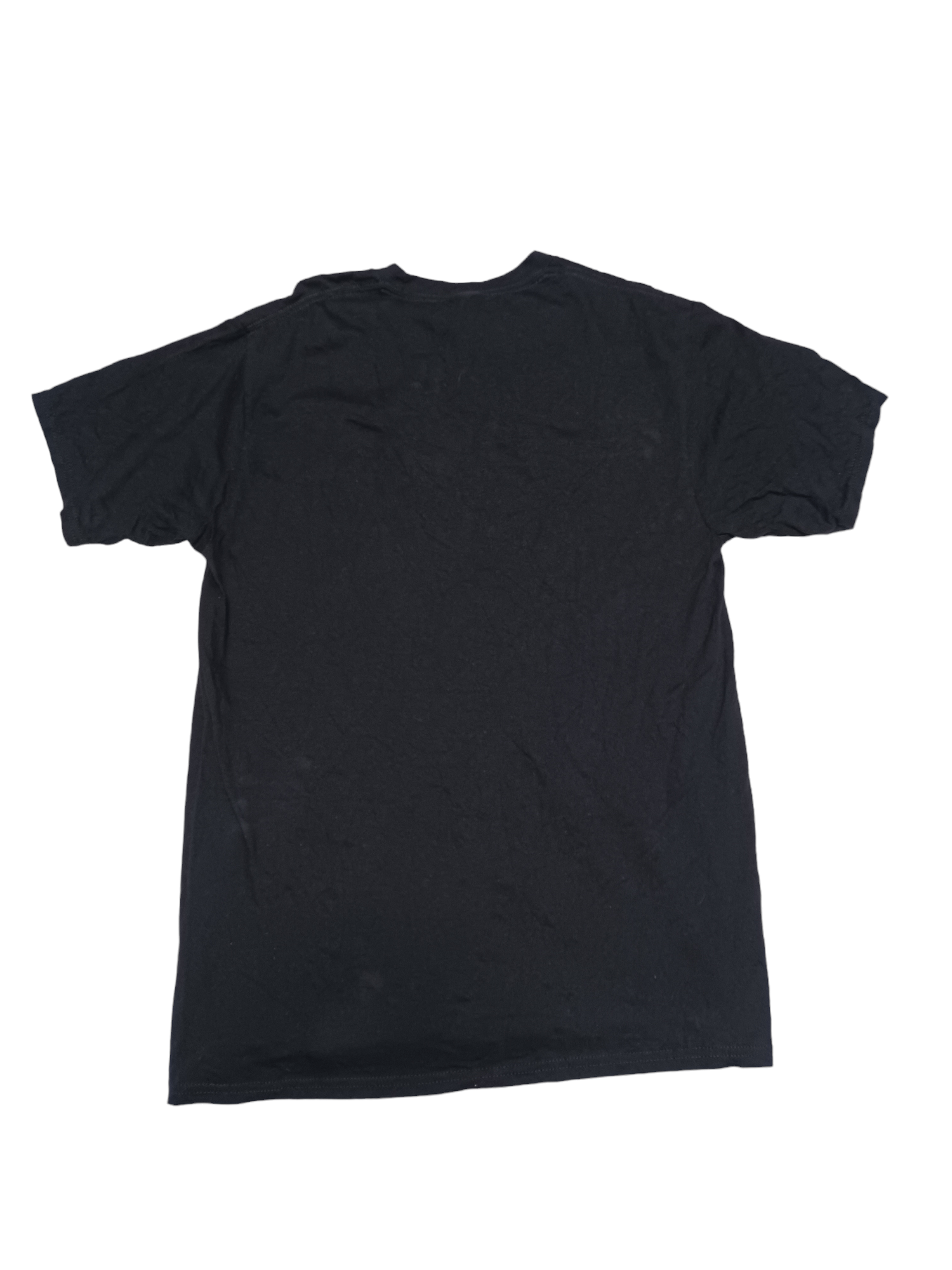 Gildan BIRD SPARROW ANIMAL BIGLOGO PRINT GILDAN TEE DOMINICANA Size US L / EU 52-54 / 3 - 2 Thumbnail