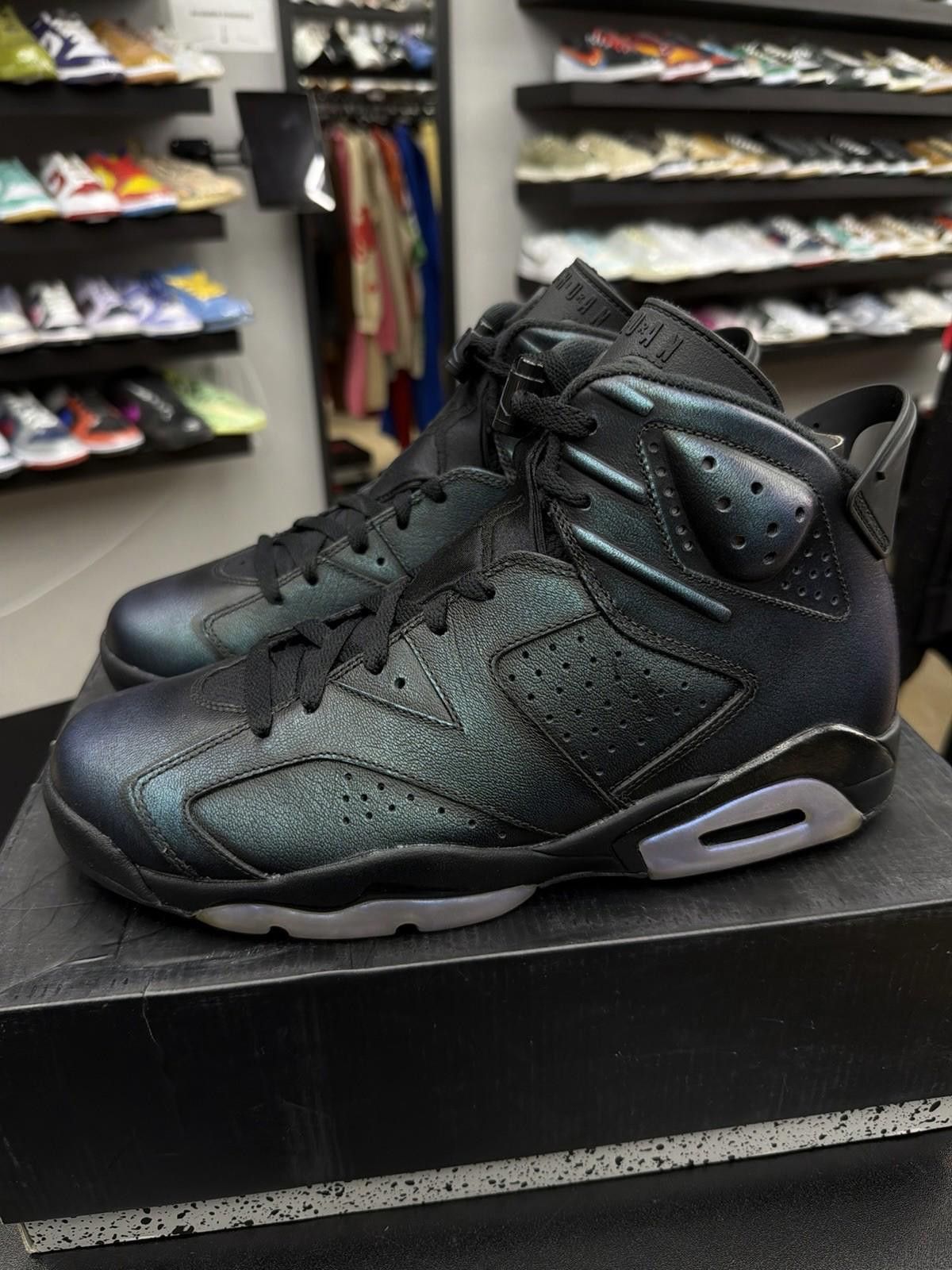 Jordan Brand Nike Air Jordan 6 All Star-Chameleon, Size 10 Brand New Size US 10 / EU 43 - 5 Thumbnail