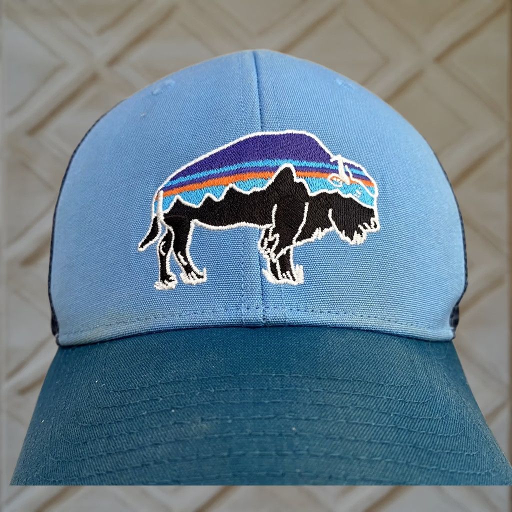Patagonia Patagonia Trucker Hat Radar Blue Adjustable Size ONE SIZE - 1 Thumbnail