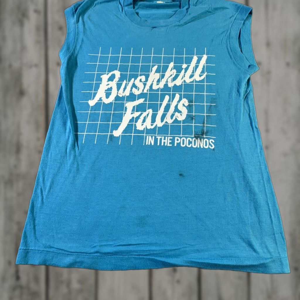 Vintage Vintage Bushkill Falls T-Shirt Mens Small Sleeveless 80s Graphic Poconos Nature Vintage Tee Size US S / EU 44-46 / 1 - 1 Thumbnail