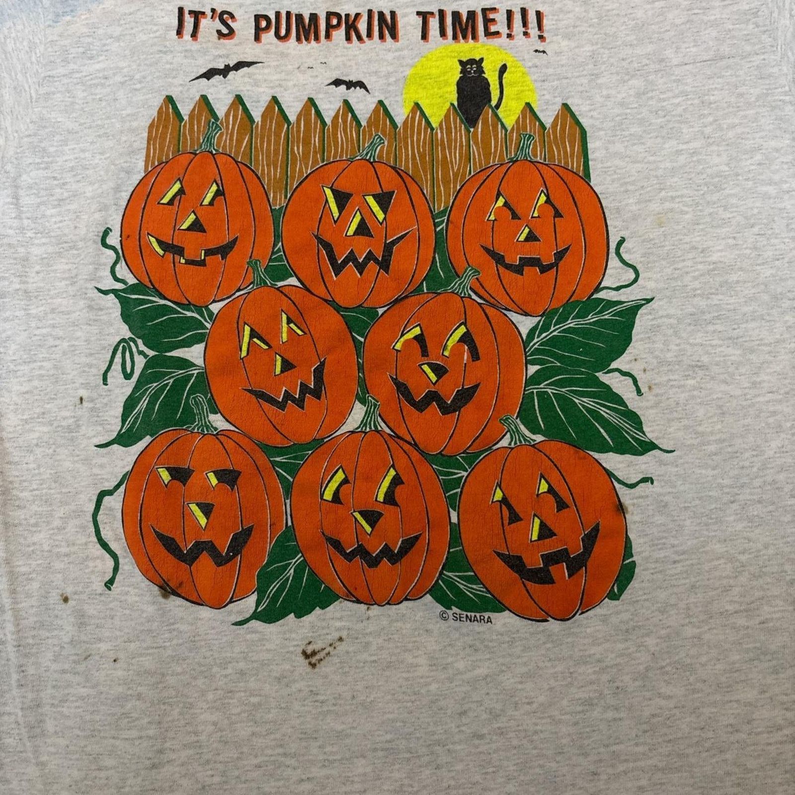 Other Grey Vintage Senara ‘Its Pumpkin Time’ Graphic Tee Size US M / EU 48-50 / 2 - 5 Thumbnail