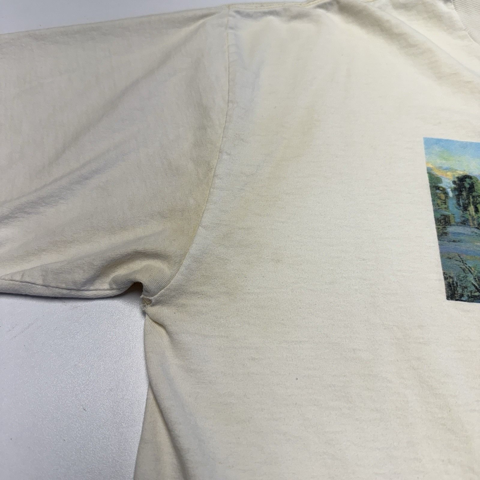 Vintage VIntage The Perfect Day Nature T Shirt White Short Sleeve Size US XL / EU 56 / 4 - 5 Thumbnail