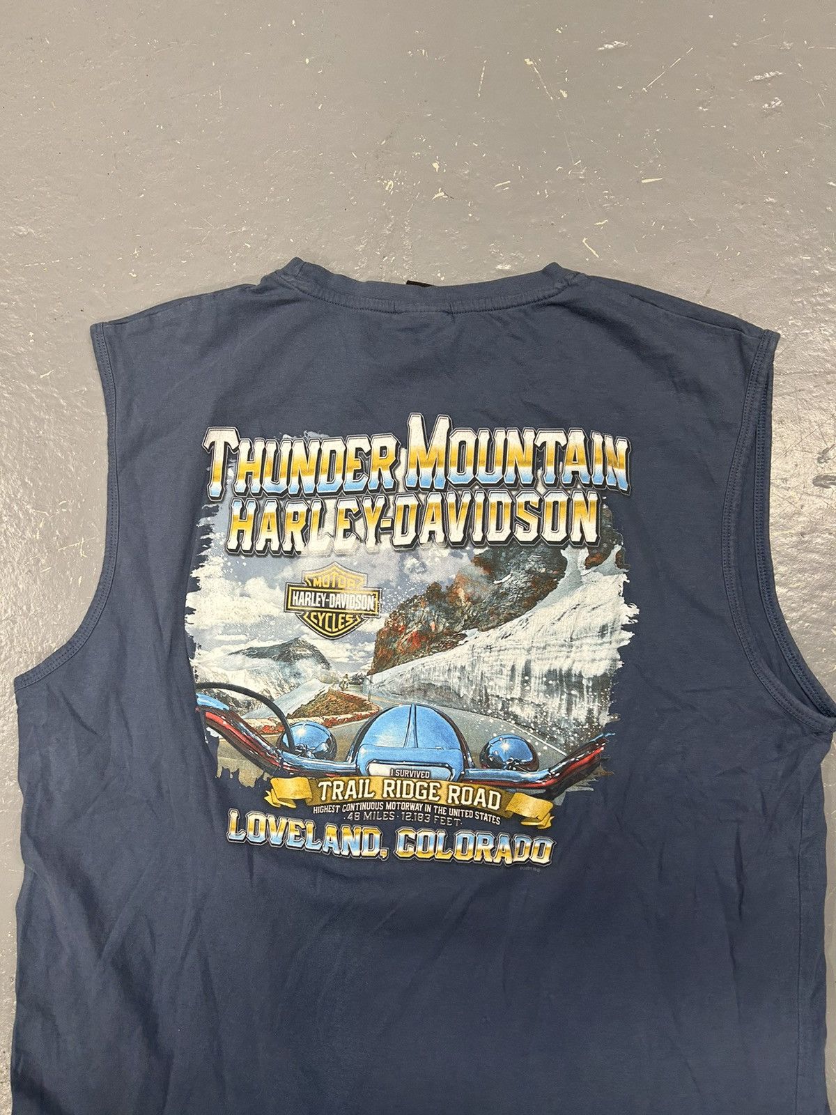 Harley Davidson × Vintage Crazy Vintage Y2K Essential Blue Harley Davidson Tank Top Size US XL / EU 56 / 4 - 2 Thumbnail