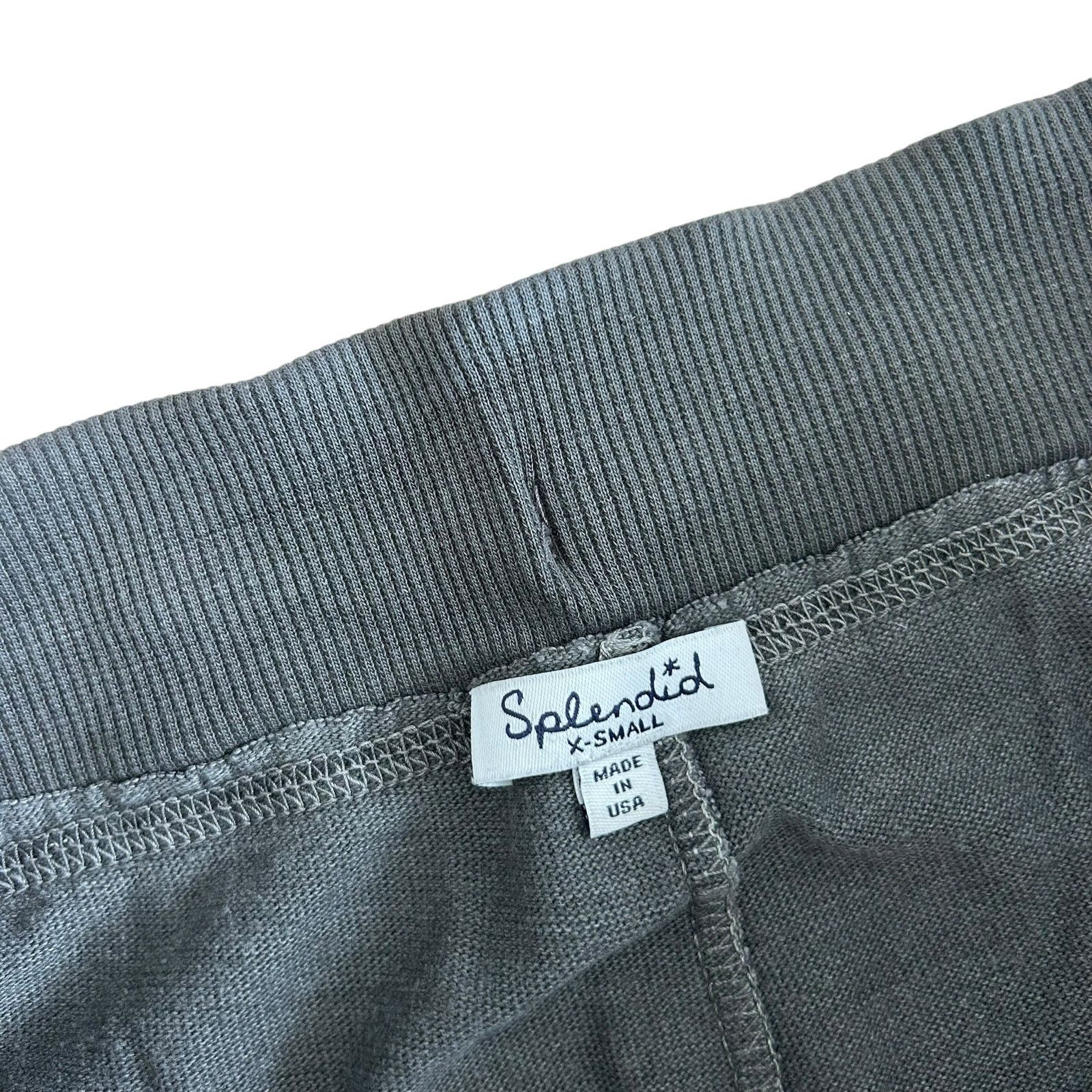 Splendid Splendid Gray Leopard Print Joggers Sweatpants Sz XS Size 26" / US 2 / IT 38 - 2 Thumbnail