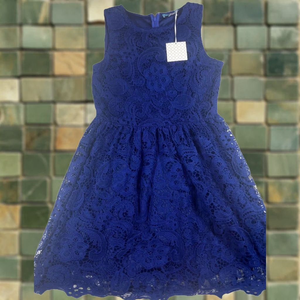 Vintage Pim + Larkin Dress Large Blue Lace Fit & Flare Knee Length Party Womens Size L / US 10 / IT 46 - 1 Thumbnail
