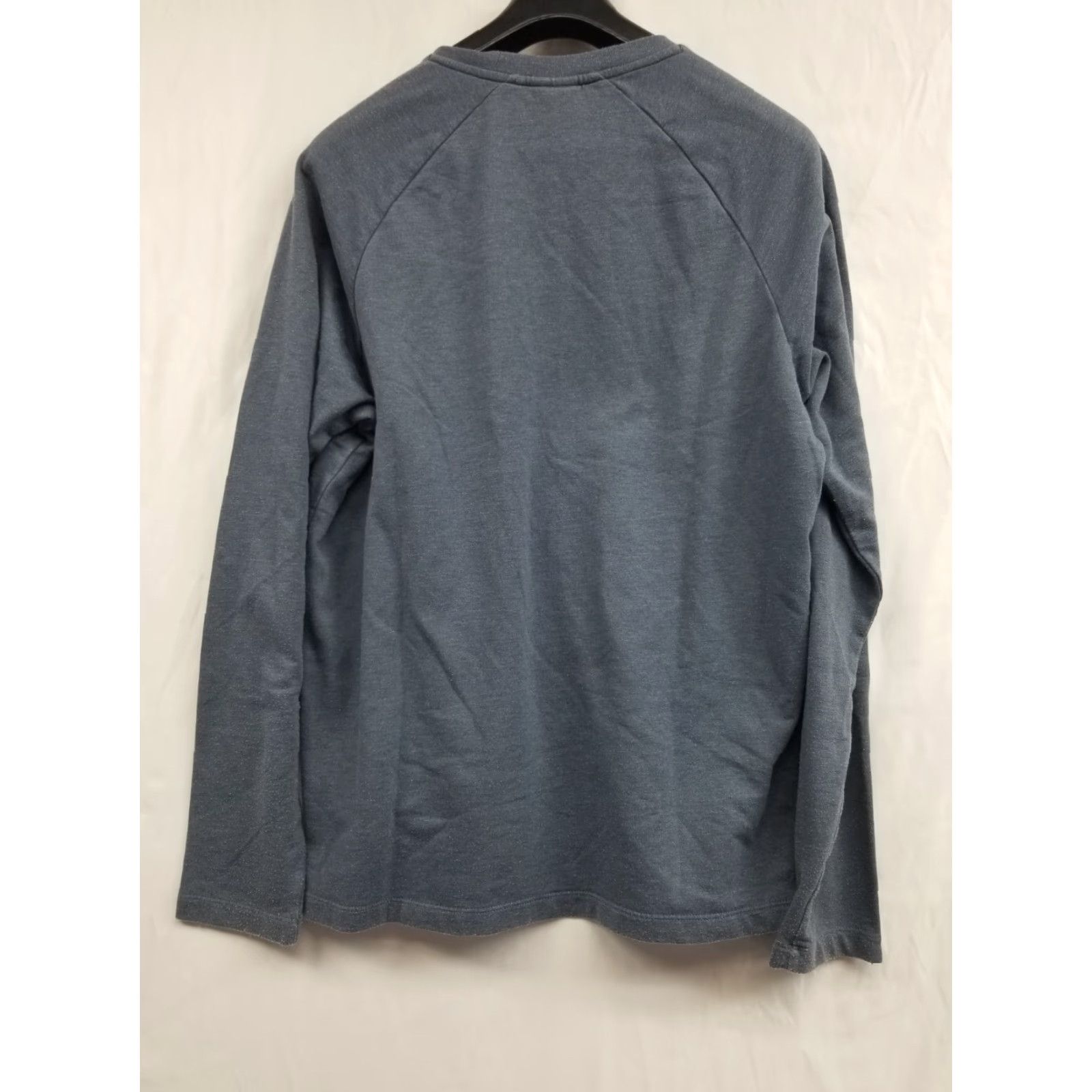 Patagonia Patagonia Sweatshirt Crewneck Blue L Men Pullover All Seasons Graphic Logo Athletic Hiking Running Gym Size US L / EU 52-54 / 3 - 2 Thumbnail