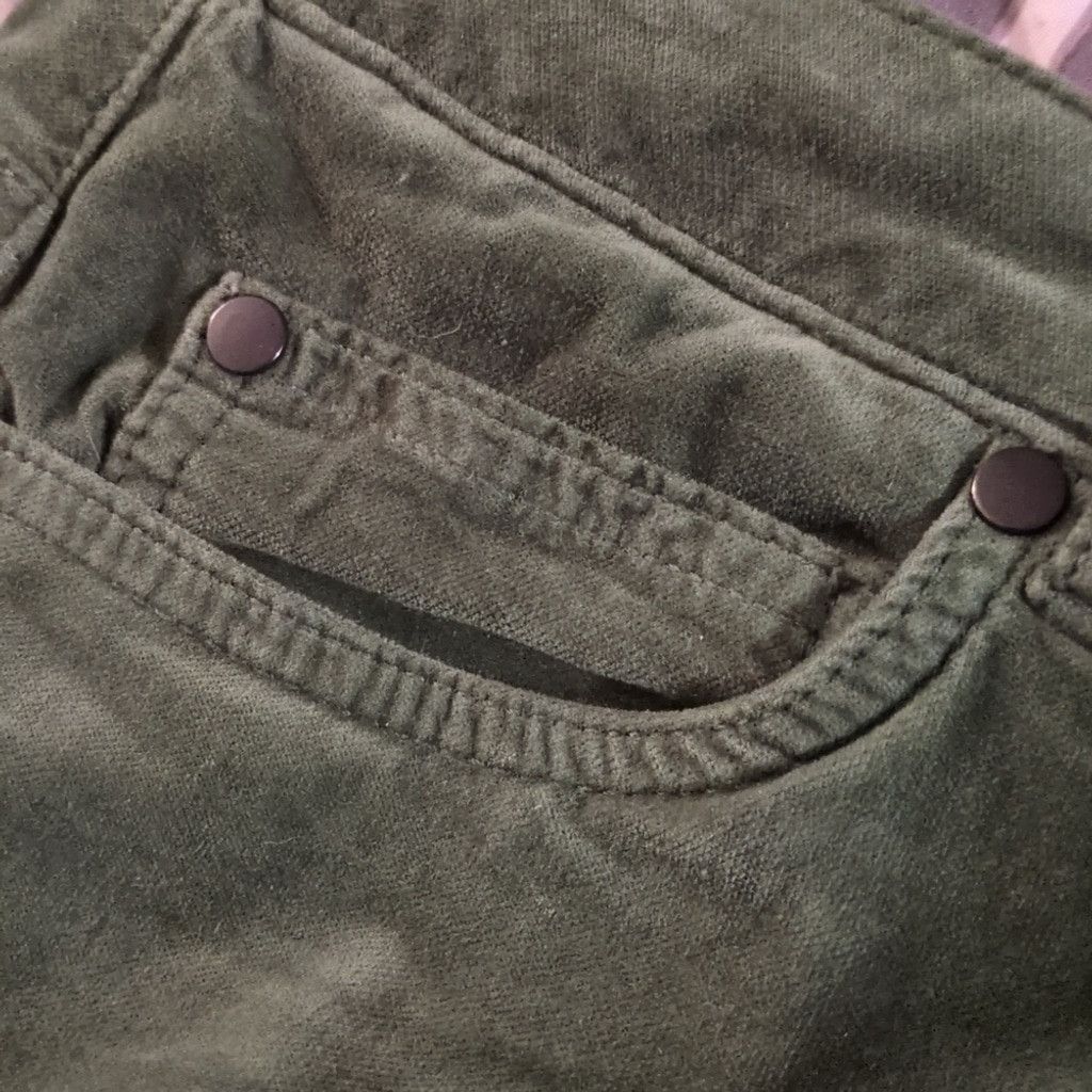 J.McLaughlin J. McLaughlin Green Velour Pants Size 8 Size 30" / US 8 / IT 44 - 10 Thumbnail