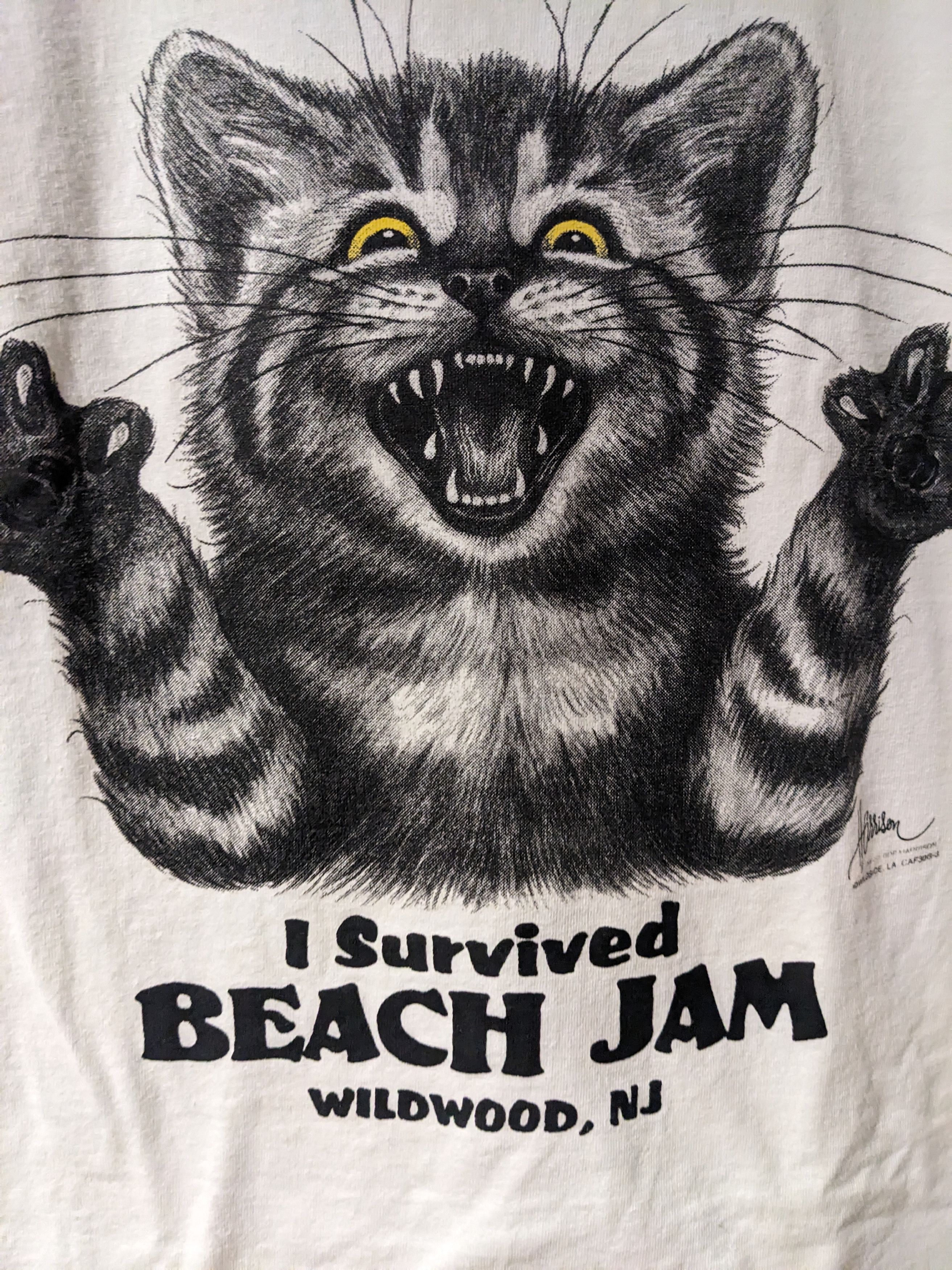 Vintage Vintage 90s Cat Stressed Out I Survived Beach Jam T-Shirt Size US XL / EU 56 / 4 - 2 Thumbnail