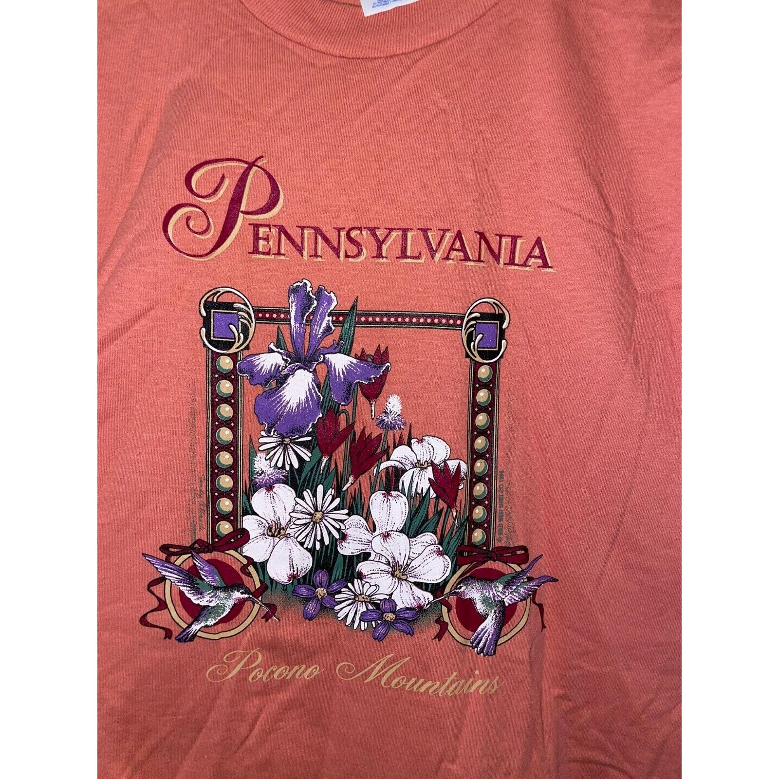 Jerzees Vintage Pocono Mountains Shirt 90s Peach Tee Pink 1990s L Size US L / EU 52-54 / 3 - 2 Thumbnail