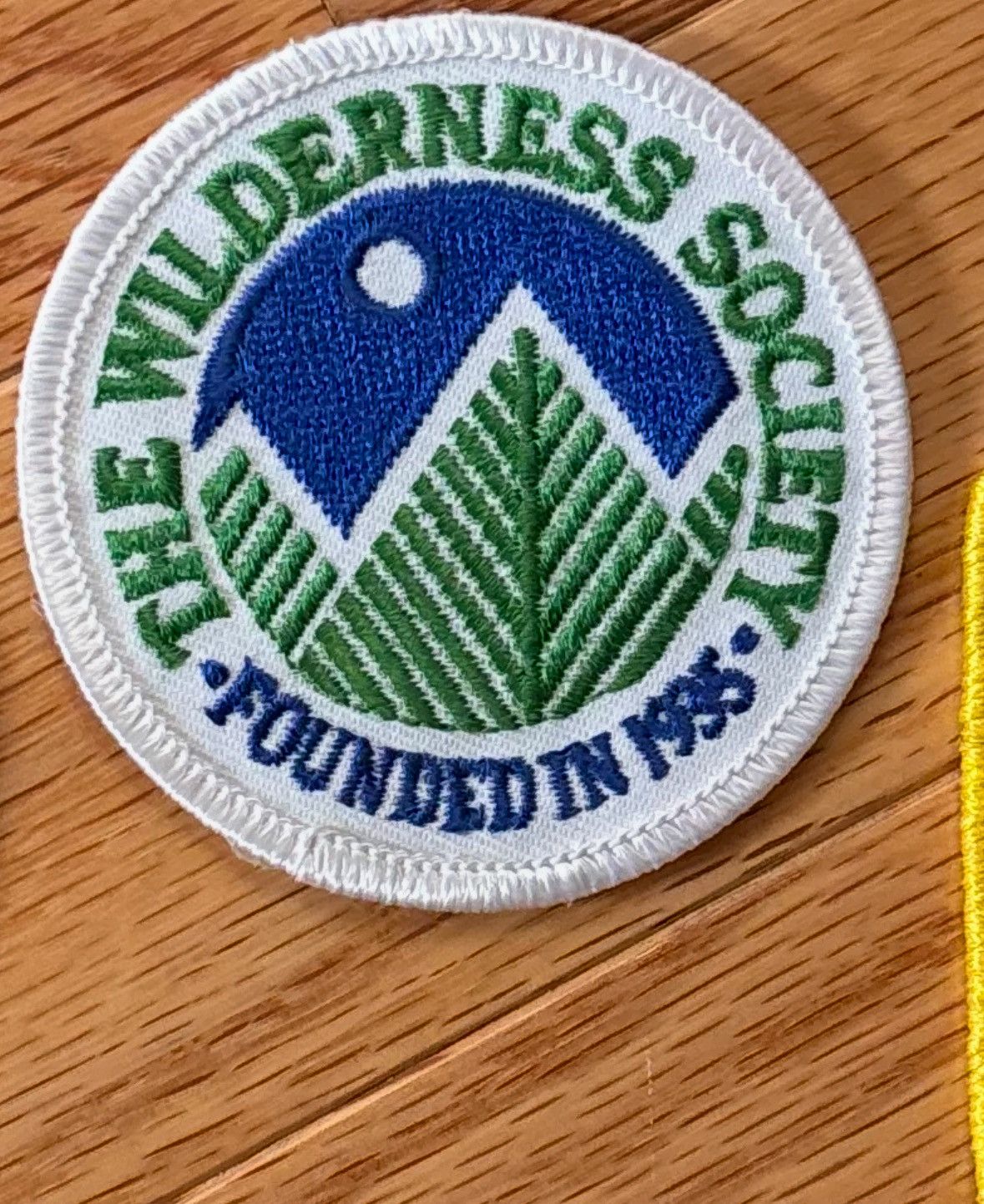 Vintage 1995 THE WILDERNESS SOCIETY Vintage Sew On Patch USA Size ONE SIZE - 2 Thumbnail