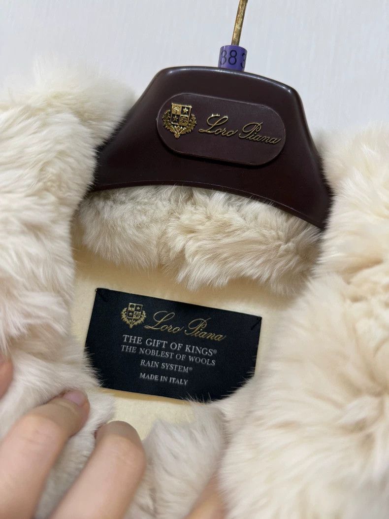 Loro Piana LORO PIANA Dragon Cat cloak overcoat Size M / US 6-8 / IT 42-44 - 3 Thumbnail