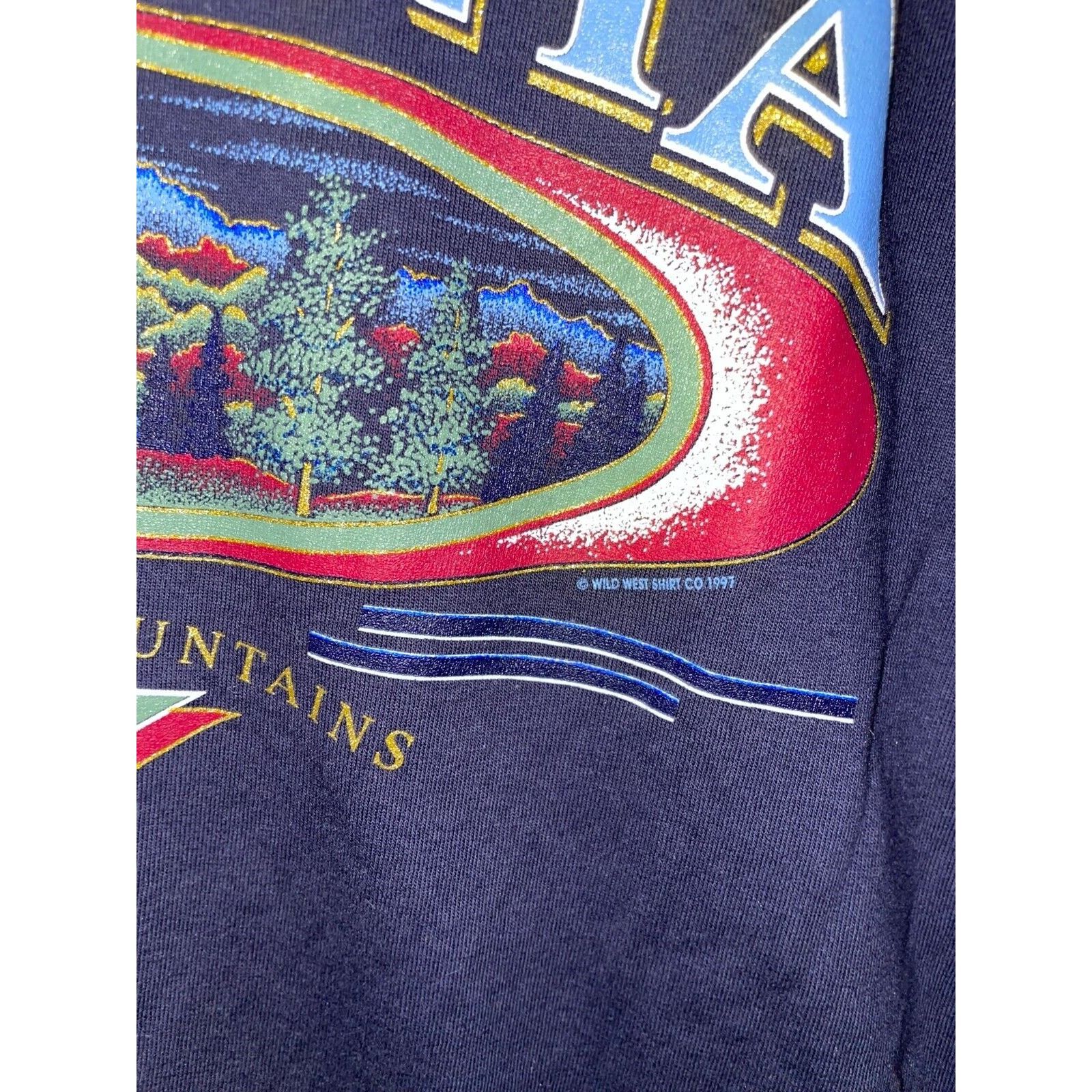 Jerzees Vintage Virginia Shirt Blue Ridge Blue Graphic Tee 90s VTG L Size US L / EU 52-54 / 3 - 5 Thumbnail