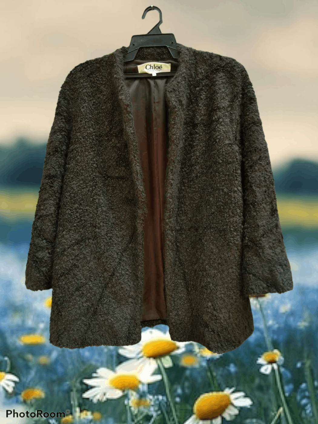 Chloe × Designer CHLOÉ WINTER JACKET/ COAT Size S / US 4 / IT 40 - 1 Thumbnail