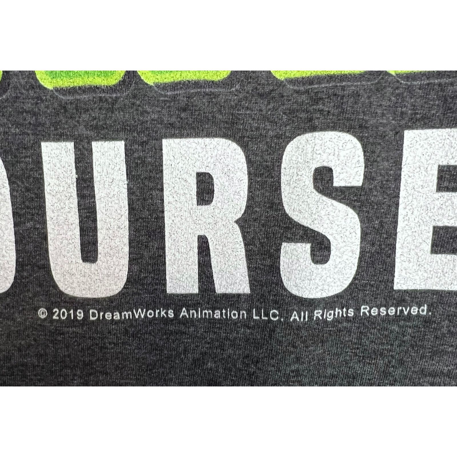 Other Shrek T-Shirt Check Yourself Before You Shrek Yourself Large Size US L / EU 52-54 / 3 - 4 Thumbnail