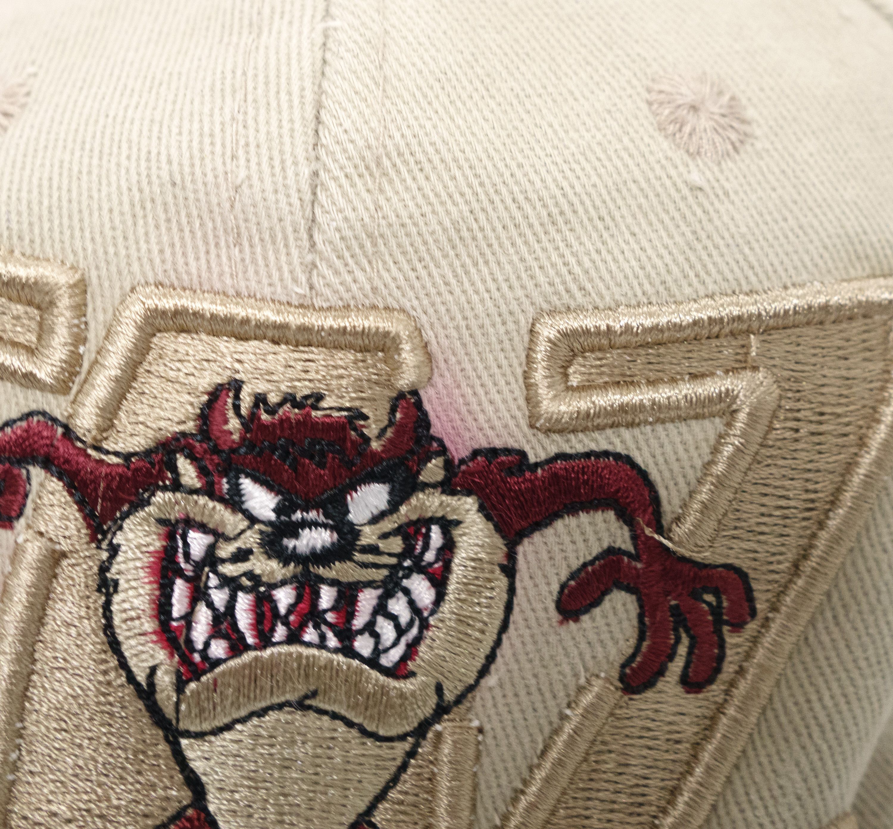Warner Bros 90s Taz Looney Tunes Logo Cap 1998 Vintage Size ONE SIZE - 5 Thumbnail