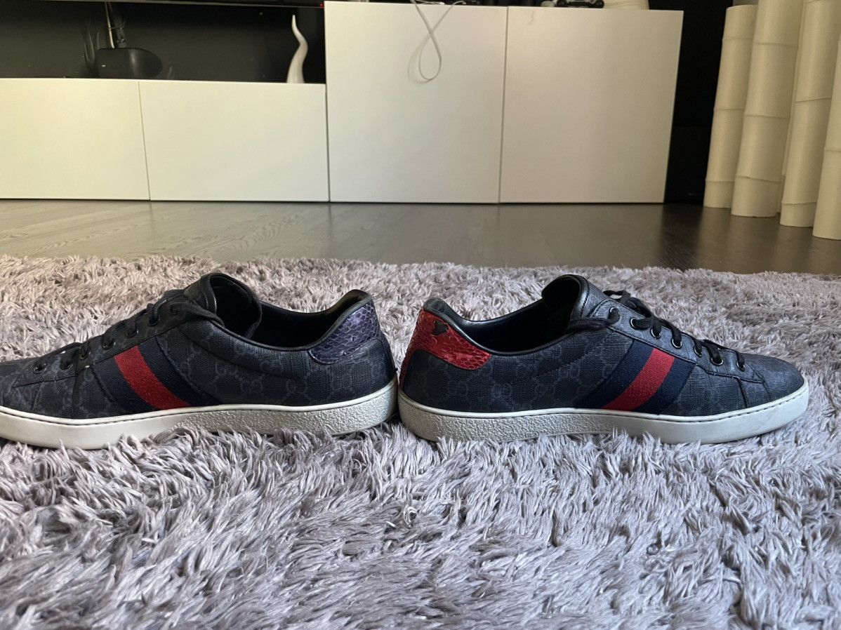 Gucci Gucci sneakers Men Size US 11 / EU 44 - 5 Thumbnail