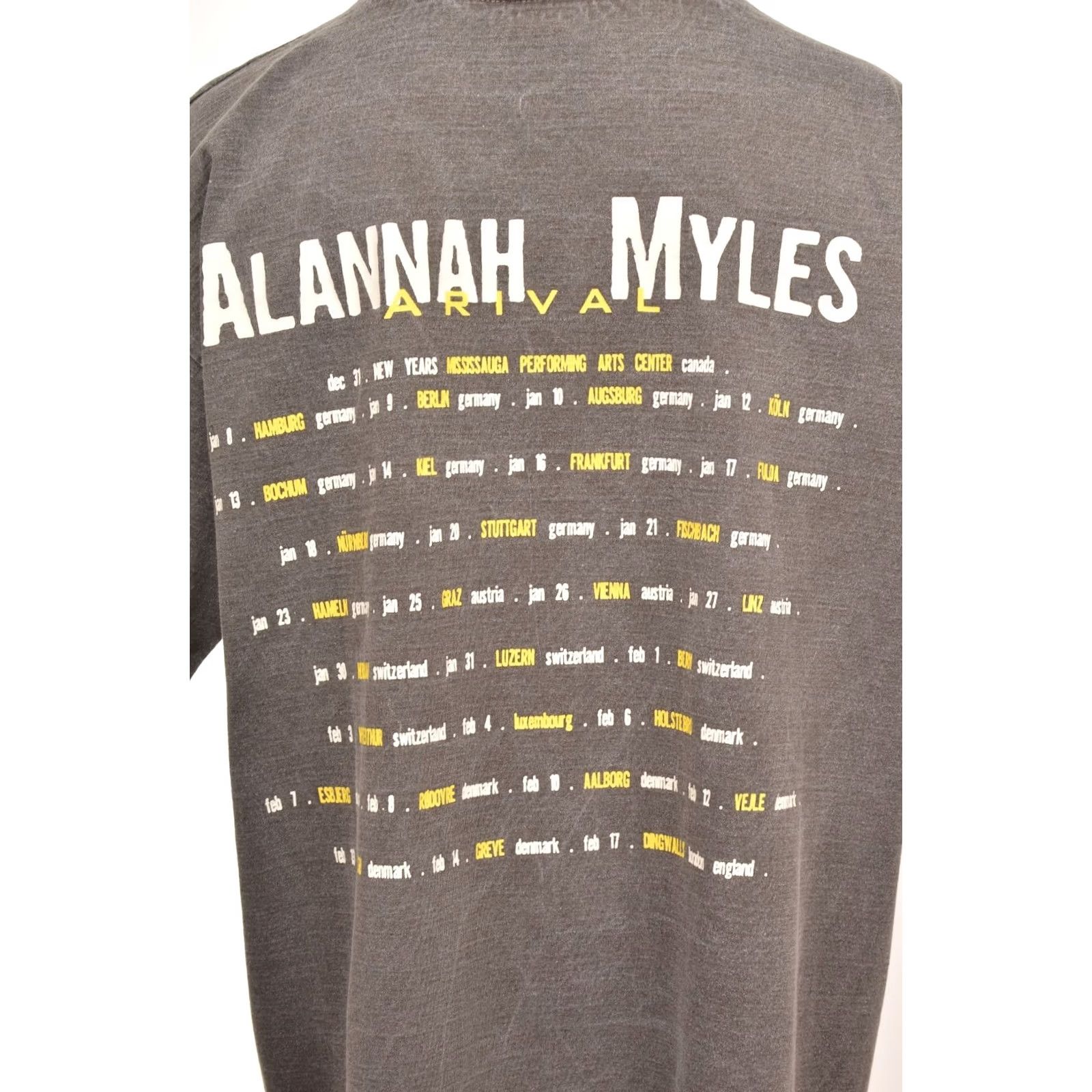 Vintage VINTAGE Swag T-Shirt Arival 90s Alannah Myles Gray Size L Mens Size US L / EU 52-54 / 3 - 3 Thumbnail