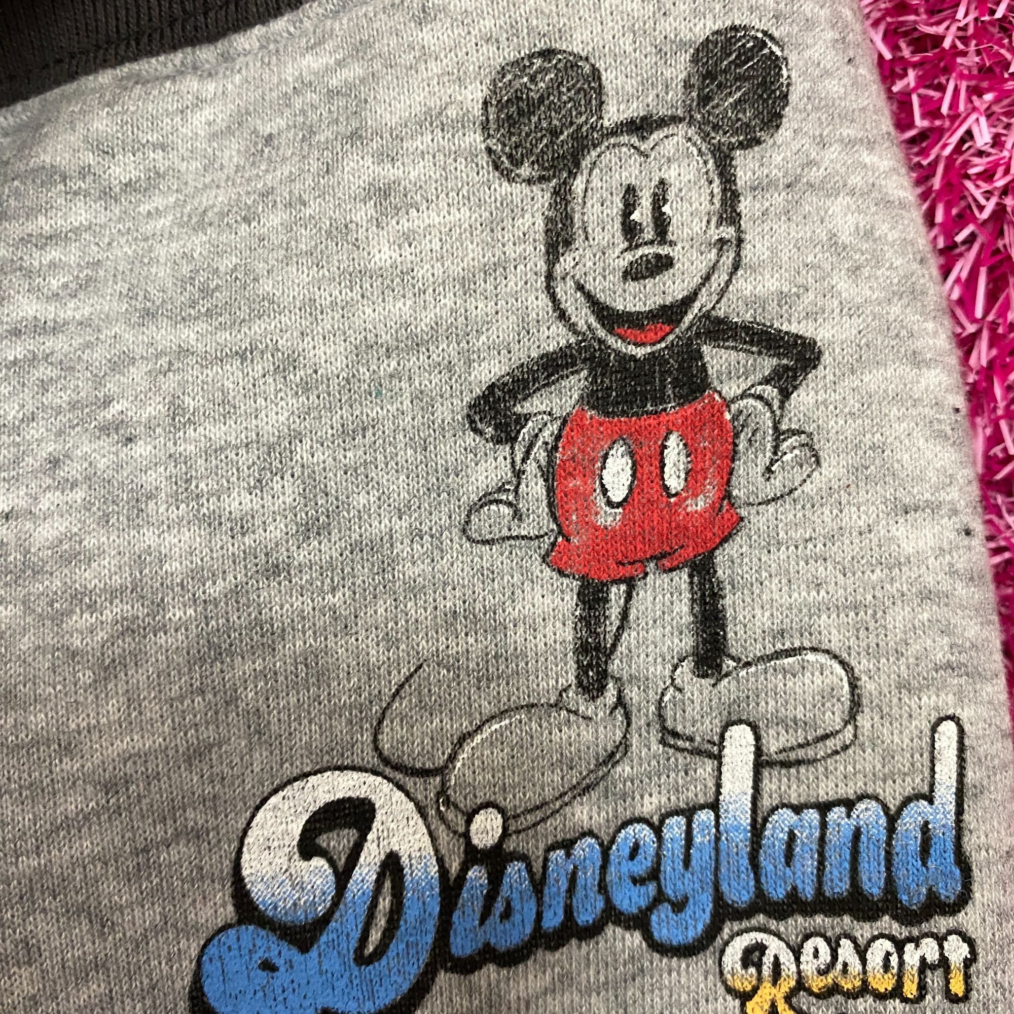 Disney Disney Resort '55 Logo Parks Authentic Original Joggers 1X Size 22" - 2 Thumbnail