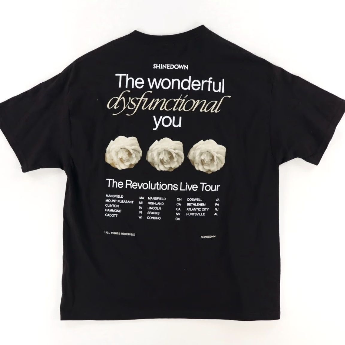American Apparel American Apparel Shinedown Revolutions Tour T-Shirt Black Mens 2XL Size US XXL / EU 58 / 5 - 4 Thumbnail