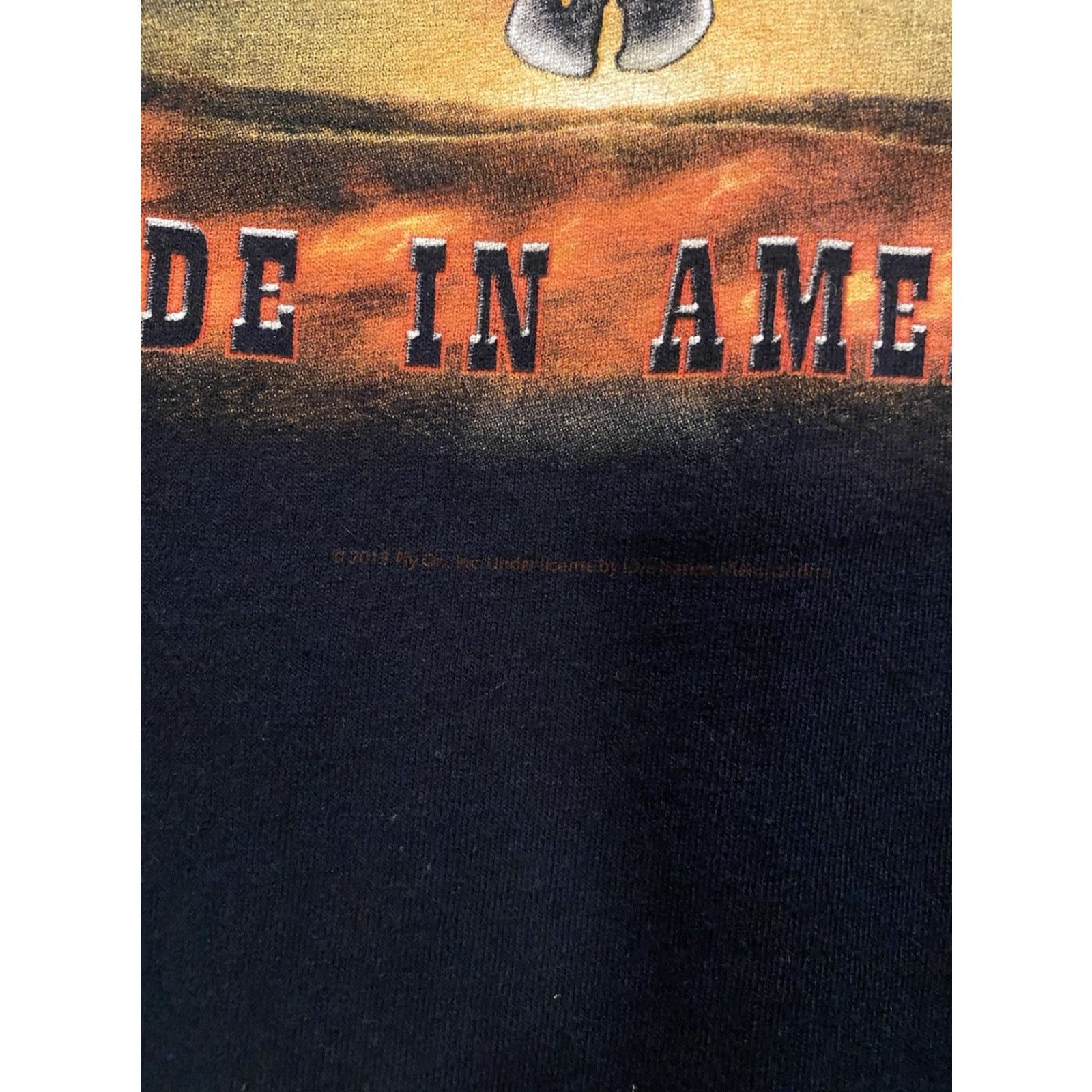 Gildan Lynyrd Skynyrd T-Shirt Concert Rock Black L Large Flames Made In America 2013 Mens Shirt Gildan Cotton Crew Neck Short Sleeve Band Music Size US L / EU 52-54 / 3 - 5 Thumbnail