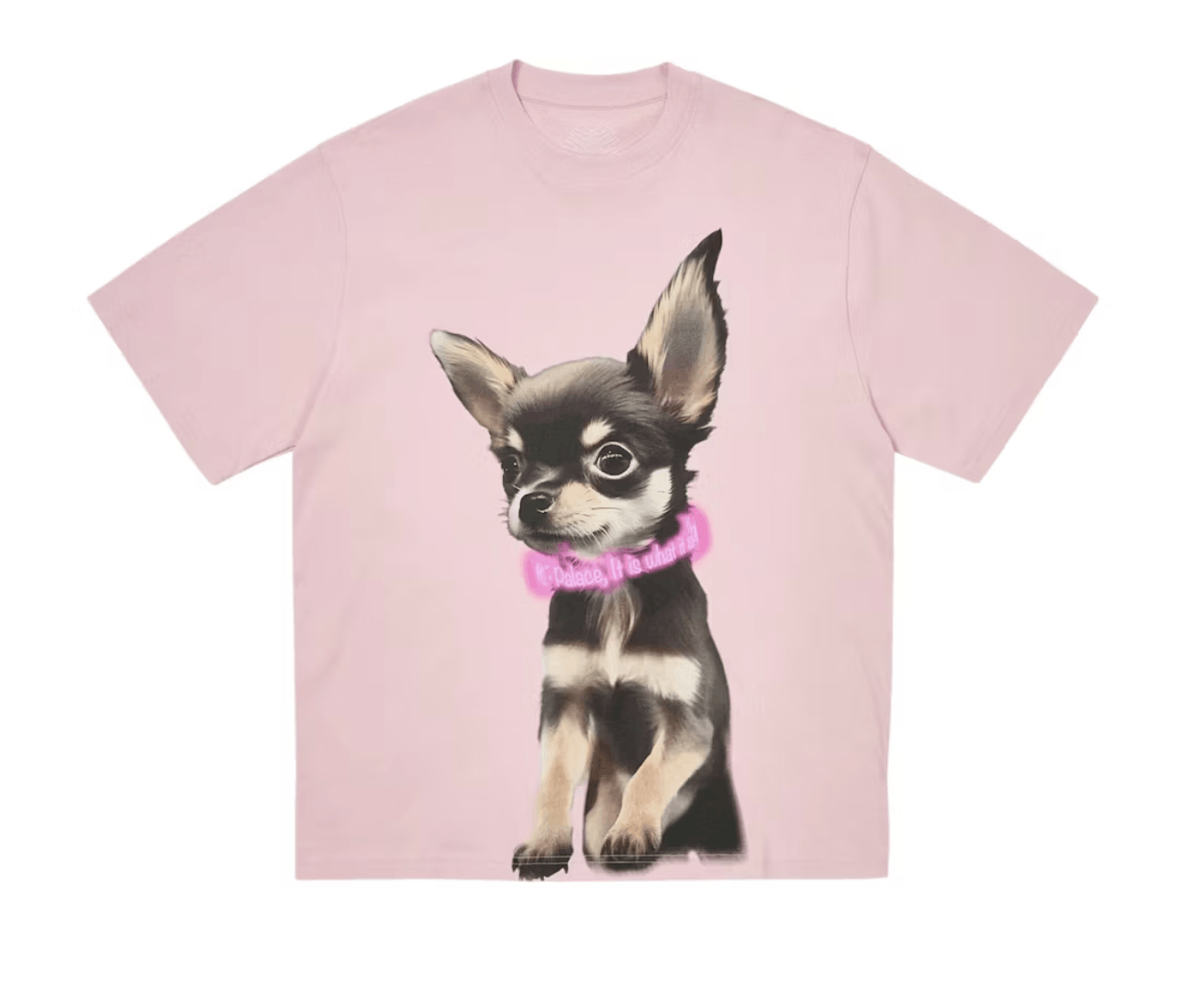 Palace Yappy T-shirt Lush Flush SS25 Sold Out