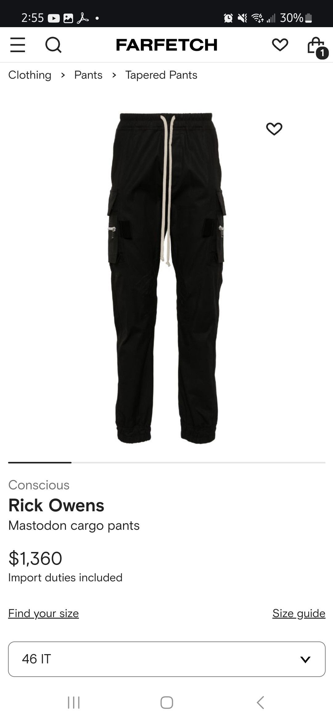 Rick Owens Rick Owens mastodon Size US 30 / EU 46 - 6 Thumbnail