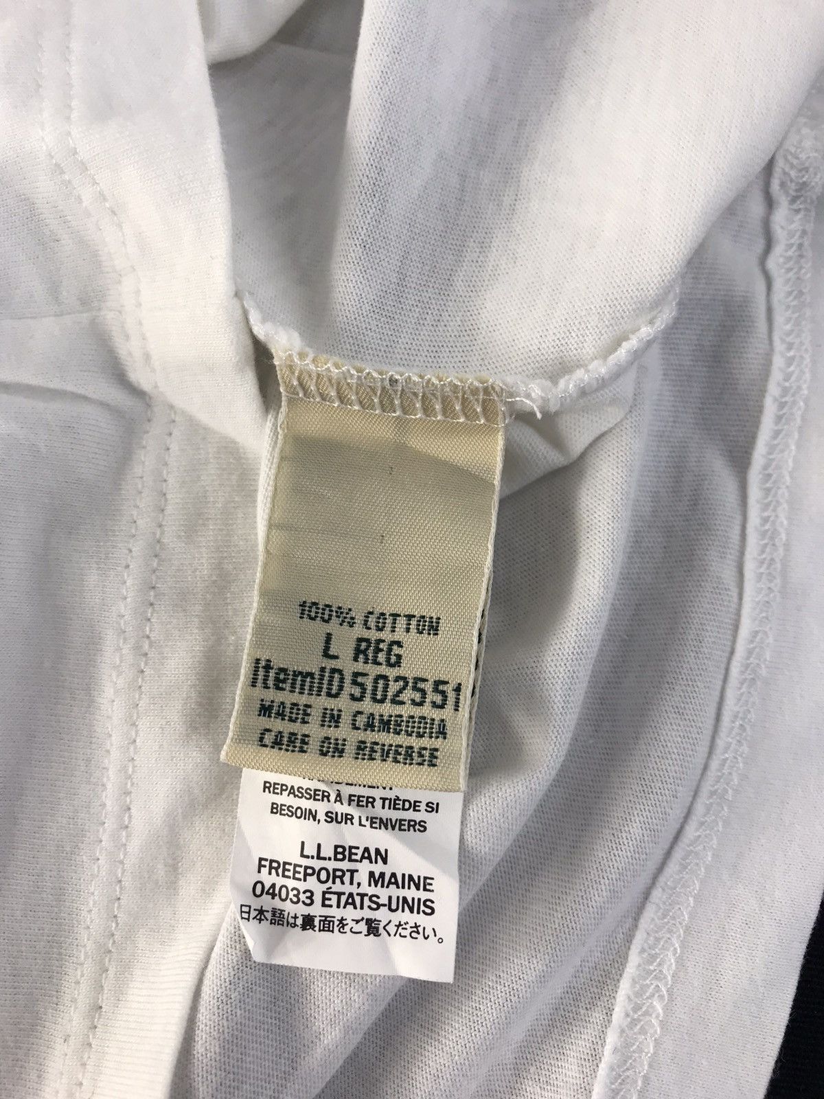 L.L. Bean LL Bean Explore The Outdoor Falling Dead Leave Logo Tee Size L / US 10 / IT 46 - 5 Thumbnail