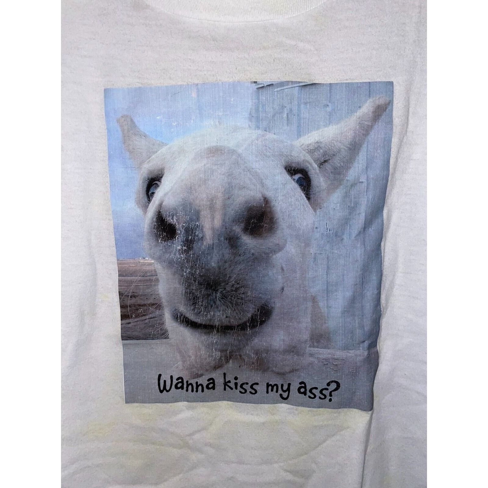 Hanes Vintage Joke Shirt Wanna Kiss My As Butt Donkey STAINED XL Size US XL / EU 56 / 4 - 2 Thumbnail